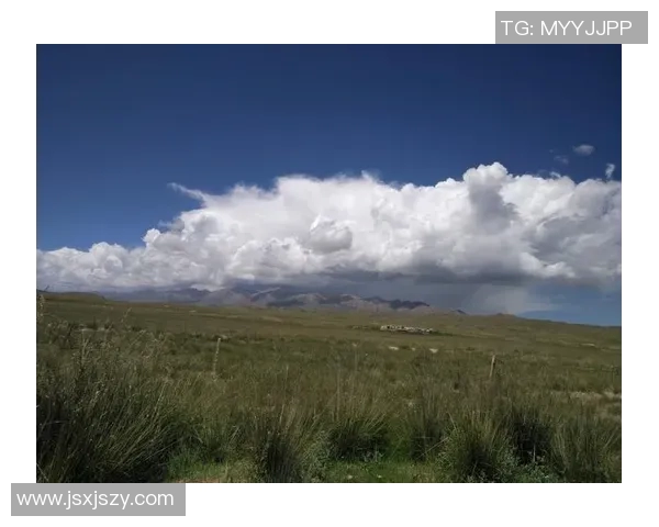 重庆街舞队的奋斗之路：一段热血青春的真实记录与心灵碰撞