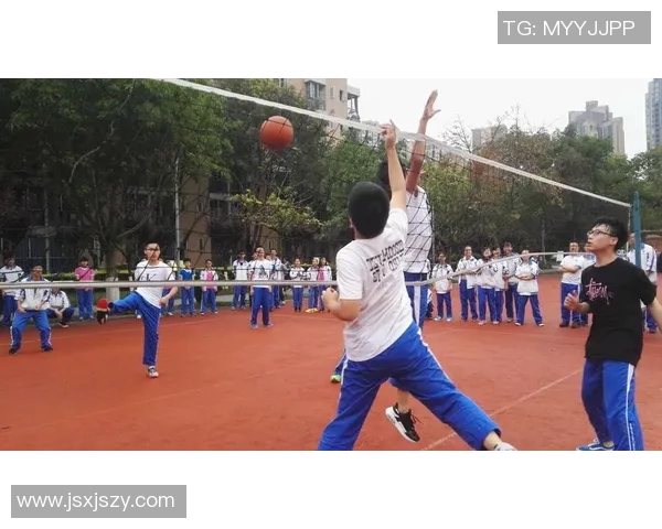 杭州排球队的蜕变之旅：从传统到现代的排球纪实探索