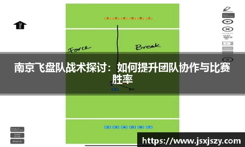 南京飞盘队战术探讨：如何提升团队协作与比赛胜率